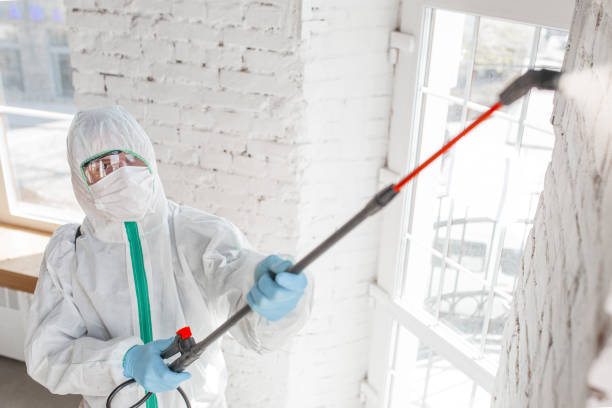 Best Post-Remediation Verification Testing  in Myrtle Beach, SC