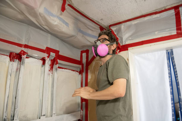 Best Mold-Related Health Consultation  in Myrtle Beach, SC