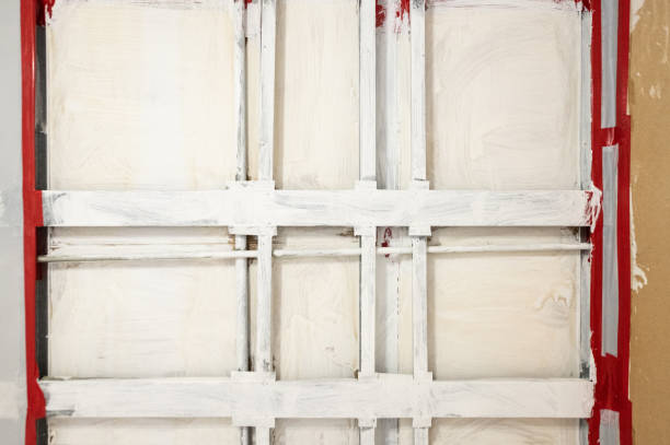 Trusted Myrtle Beach, SC Mold Removal Experts