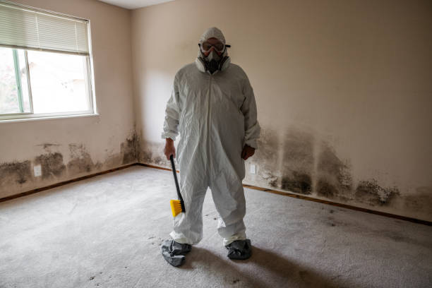 Forensic Mold Investigation in Myrtle Beach, SC